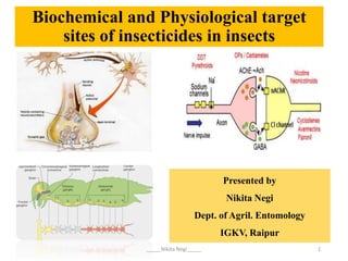 Biochemical and Physiological target
sites of insecticides in insects
Presented by
Nikita Negi
Dept. of Agril. Entomology
IGKV, Raipur
1
_____Nikita Negi_____
 