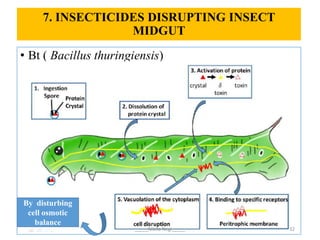 Nikitik Insect Biochemical and physiological target sites of insecticides on insect | PPTX