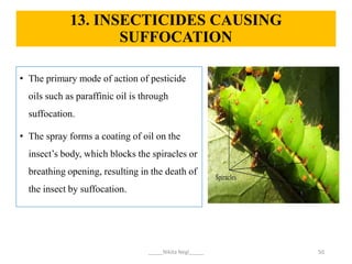 Nikitik Insect Biochemical and physiological target sites of insecticides on insect | PPTX