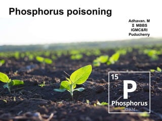 .
Phosphorus poisoning
Adhavan. M
Ⅱ MBBS
IGMC&RI
Puducherry
 