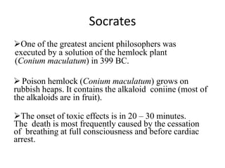 Socrates
One of the greatest ancient philosophers was
executed by a solution of the hemlock plant
(Conium maculatum) in 399 BC.
 Poison hemlock (Conium maculatum) grows on
rubbish heaps. It contains the alkaloid coniine (most of
the alkaloids are in fruit).
The onset of toxic effects is in 20 – 30 minutes.
The death is most frequently caused by the cessation
of breathing at full consciousness and before cardiac
arrest.
 