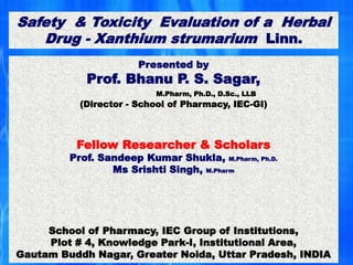 Professor Assistant Professor
Safety & Toxicity Evaluation of a Herbal
Drug - Xanthium strumarium Linn.
Presented by
Prof. Bhanu P. S. Sagar,
M.Pharm, Ph.D., D.Sc., LLB
(Director - School of Pharmacy, IEC-GI)
Fellow Researcher & Scholars
Prof. Sandeep Kumar Shukla, M.Pharm, Ph.D.
Ms Srishti Singh, M.Pharm
School of Pharmacy, IEC Group of Institutions,
Plot # 4, Knowledge Park-I, Institutional Area,
Gautam Buddh Nagar, Greater Noida, Uttar Pradesh, INDIA
 