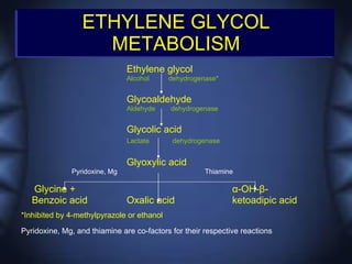 ETHYLENE GLYCOL
                    METABOLISM
                               Ethylene glycol
                               Alcohol      dehydrogenase*


                               Glycoaldehyde
                               Aldehyde     dehydrogenase


                               Glycolic acid
                               Lactate       dehydrogenase


                               Glyoxylic acid
              Pyridoxine, Mg                          Thiamine

   Glycine +                                                  α-OH-β-
   Benzoic acid                Oxalic acid                    ketoadipic acid
*Inhibited by 4-methylpyrazole or ethanol

Pyridoxine, Mg, and thiamine are co-factors for their respective reactions
 