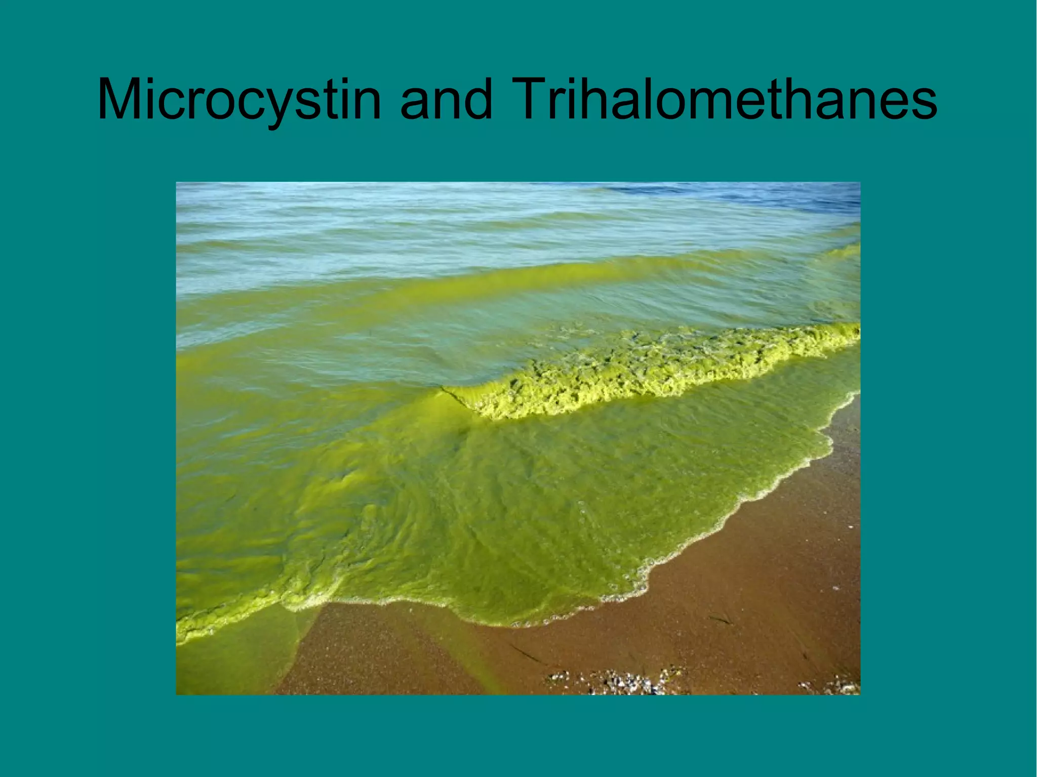 Microcystin and Trihalomethanes

 