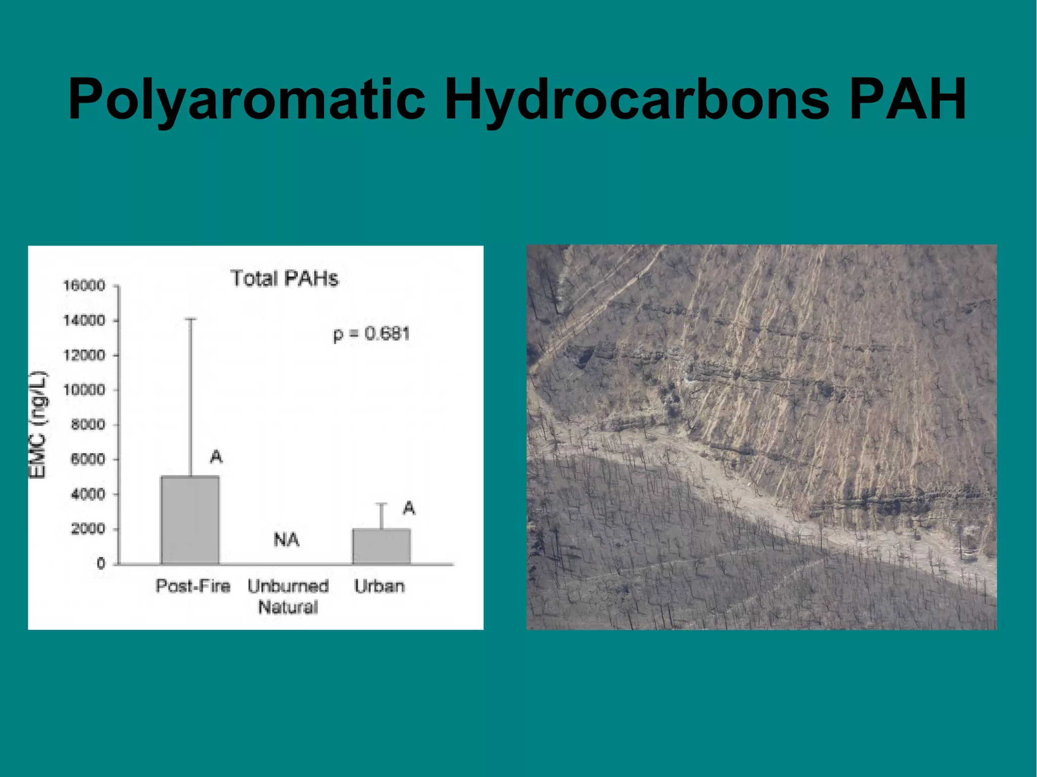 Polyaromatic Hydrocarbons PAH

 