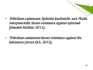 • Tribolium castaneum ,Ephestia kuehniella and Plodia
interpunctella shows resistance against spinosad
(Maedeh Mollaie, 2011).
• Tribolium castaneum shows resistance against the
lufenuron (Arora M.S., 2012).
10
 