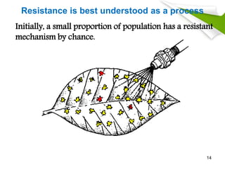 Resistance is best understood as a process
Initially, a small proportion of population has a resistant
mechanism by chance.
14
 