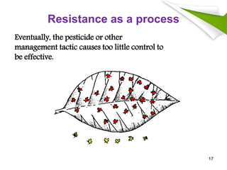 Resistance as a process
Eventually, the pesticide or other
management tactic causes too little control to
be effective.
17
 