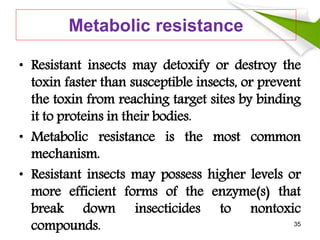 Metabolic resistance
• Resistant insects may detoxify or destroy the
toxin faster than susceptible insects, or prevent
the toxin from reaching target sites by binding
it to proteins in their bodies.
• Metabolic resistance is the most common
mechanism.
• Resistant insects may possess higher levels or
more efficient forms of the enzyme(s) that
break down insecticides to nontoxic
compounds. 35
 