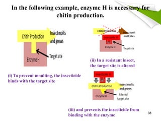 In the following example, enzyme H is necessary for
chitin production.
(i) To prevent moulting, the insecticide
binds with the target site
(ii) In a resistant insect,
the target site is altered
(iii) and prevents the insecticide from
binding with the enzyme
38
 