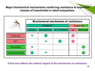 Major biochemical mechanisms conferring resistance to important
classes of insecticides in adult mosquitoes.
Circle size reflects the relative impact of the mechanism on resistance
42
 