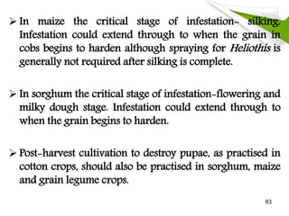  In maize the critical stage of infestation- silking.
Infestation could extend through to when the grain in
cobs begins to harden although spraying for Heliothis is
generally not required after silking is complete.
 In sorghum the critical stage of infestation-flowering and
milky dough stage. Infestation could extend through to
when the grain begins to harden.
 Post-harvest cultivation to destroy pupae, as practised in
cotton crops, should also be practised in sorghum, maize
and grain legume crops.
63
 