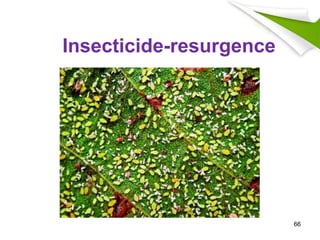 Insecticide-resurgence
66
 