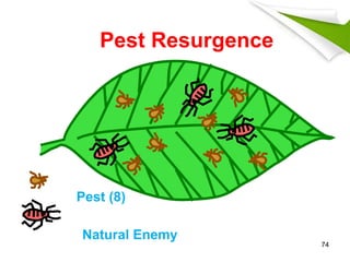 Pest Resurgence
Pest (8)
Natural Enemy
74
 