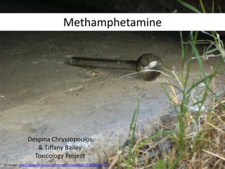 Methamphetamine




              Despina Chryssopoulos
                 & Tiffany Bailey
                Toxicology Project
CC Image: http://www.flickr.com/photos/michelleirish/3187324744   /
 