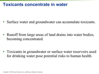 Toxicants concentrate in water Surface water and groundwater can accumulate toxicants. Runoff from large areas of land drains into water bodies, becoming concentrated. Toxicants in groundwater or surface water reservoirs used for drinking water pose potential risks to human health. 