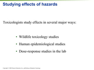 Studying effects of hazards Toxicologists study effects in several major ways: •  Wildlife toxicology studies •  Human epidemiological studies •  Dose-response studies in the lab 