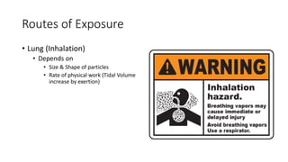 Routes of Exposure
• Lung (Inhalation)
• Depends on
• Size & Shape of particles
• Rate of physical work (Tidal Volume
increase by exertion)
 
