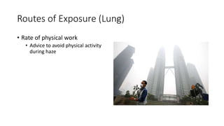 Routes of Exposure (Lung)
• Rate of physical work
• Advice to avoid physical activity
during haze
 
