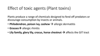 Effect of toxic agents (Plant toxins)
Plants produce a range of chemicals designed to fend off predators or
discourage consumption by insects or animals.
• Philodendron, poison ivy, cashew  allergic dermatitis
• Grasses allergic rhinitis
• Lily family, glory lily, crocus, horse chestnut  affects the GIT tract
 