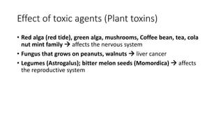 Effect of toxic agents (Plant toxins)
• Red alga (red tide), green alga, mushrooms, Coffee bean, tea, cola
nut mint family  affects the nervous system
• Fungus that grows on peanuts, walnuts  liver cancer
• Legumes (Astrogalus); bitter melon seeds (Momordica)  affects
the reproductive system
 