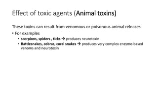 Effect of toxic agents (Animal toxins)
These toxins can result from venomous or poisonous animal releases
• For examples
• scorpions, spiders , ticks  produces neurotoxin
• Rattlesnakes, cobras, coral snakes  produces very complex enzyme-based
venoms and neurotoxin
 