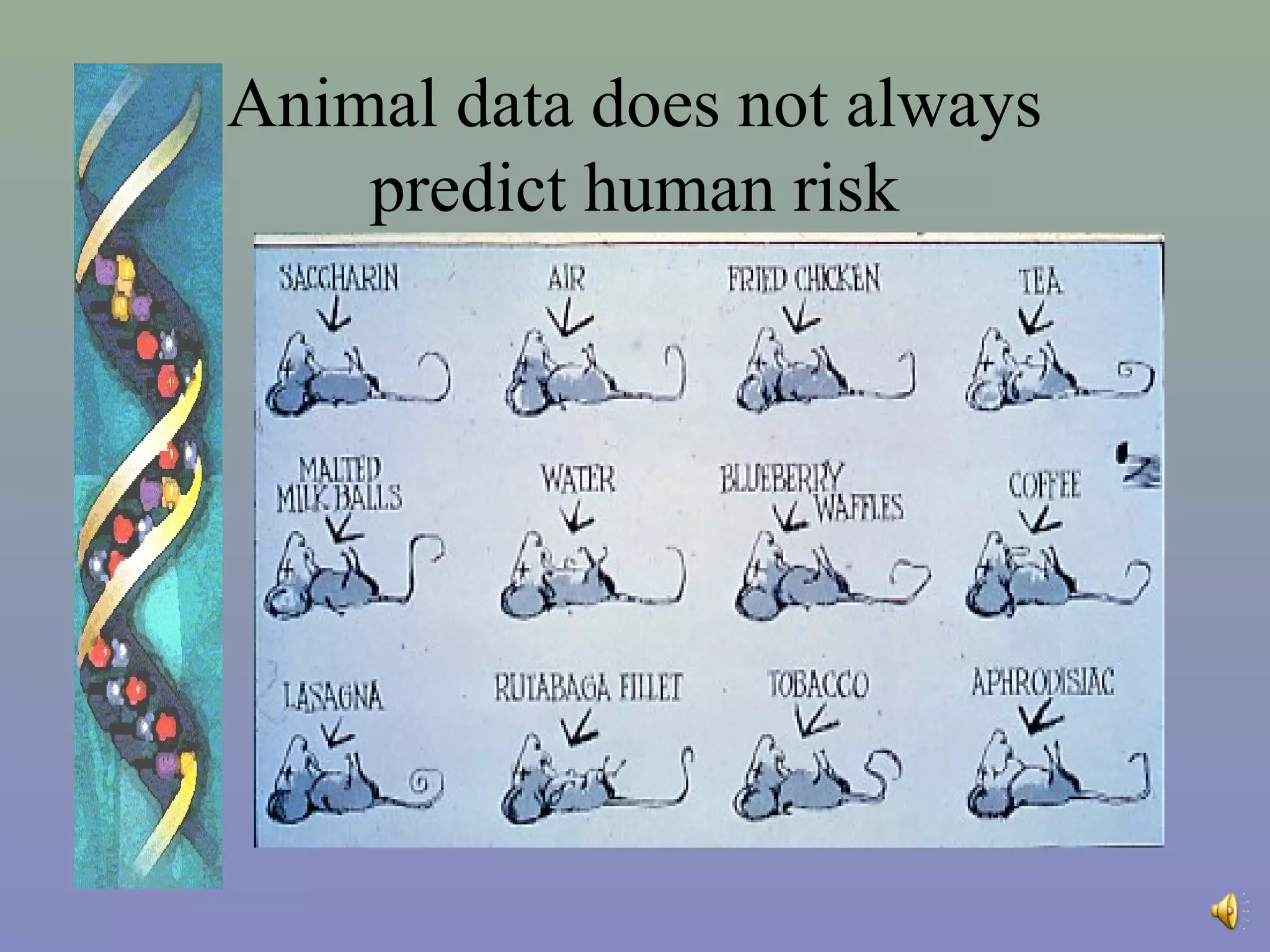 Animal Toxicology Testing – Animal Toxicology Study – CBAH