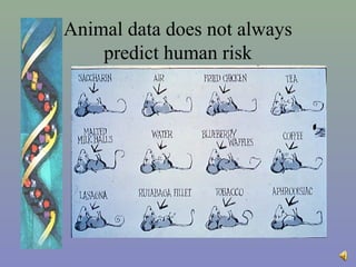 Toxicology testing in animals narrated part 12013 | PPT