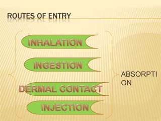 ROUTES OF ENTRY

ABSORPTI
ON

 