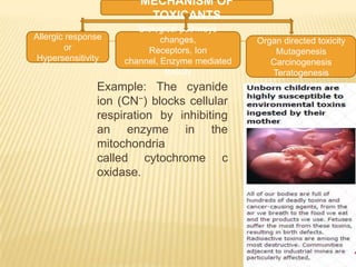 MECHANISM OF
TOXICANTS
Allergic response
or
Hypersensitivity

Biological pathways
changes,
Receptors, Ion
channel, Enzyme mediated
toxicity

Example: The cyanide
ion (CN−) blocks cellular
respiration by inhibiting
an enzyme in the
mitochondria
called cytochrome c
oxidase.

Organ directed toxicity
Mutagenesis
Carcinogenesis
Teratogenesis

 