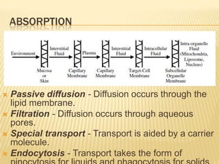 ABSORPTION

Passive diffusion - Diffusion occurs through the
lipid membrane.
 Filtration - Diffusion occurs through aqueous
pores.
 Special transport - Transport is aided by a carrier
molecule.
 Endocytosis - Transport takes the form of


 