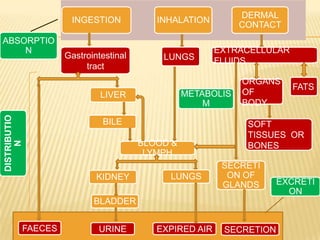 INGESTION
ABSORPTIO
N

Gastrointestinal
tract

LUNGS

DISTRIBUTIO
N

EXTRACELLULAR
FLUIDS

METABOLIS
M

LIVER
BILE
BLOOD &
LYMPH
KIDNEY

DERMAL
CONTACT

INHALATION

LUNGS

ORGANS
OF
BODY

SOFT
TISSUES OR
BONES
SECRETI
ON OF
GLANDS

BLADDER
FAECES

URINE

EXPIRED AIR

FATS

SECRETION

EXCRETI
ON

 