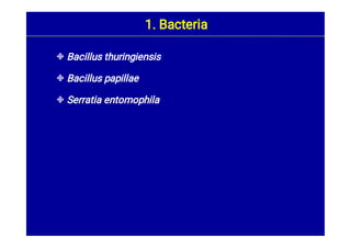 


Bacillus thuringiensis
Bacillus papillae
Serratia entomophila
1. Bacteria
 