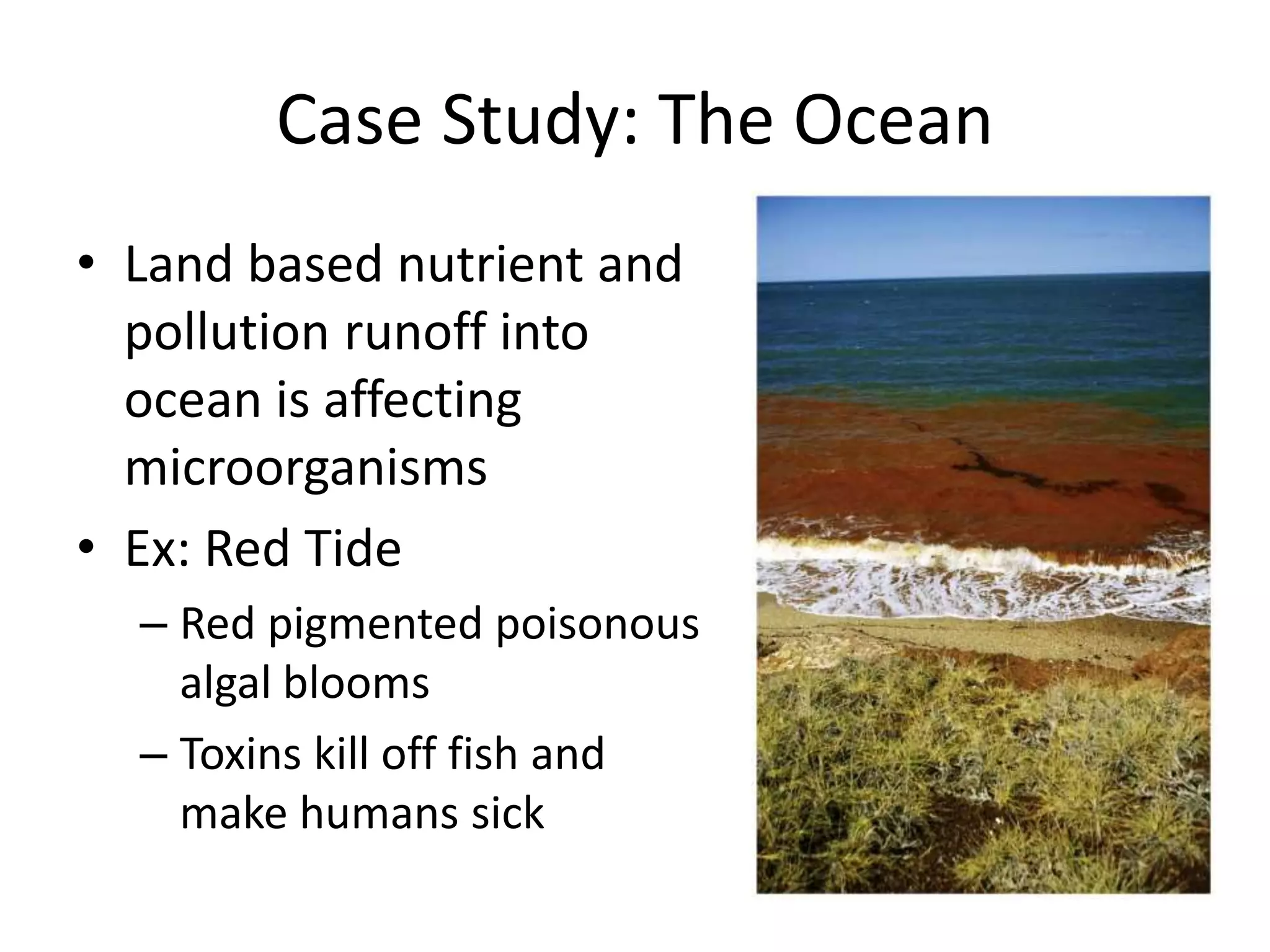 Case Study: The Ocean
• Land based nutrient and
pollution runoff into
ocean is affecting
microorganisms
• Ex: Red Tide
– Red pigmented poisonous
algal blooms
– Toxins kill off fish and
make humans sick
 