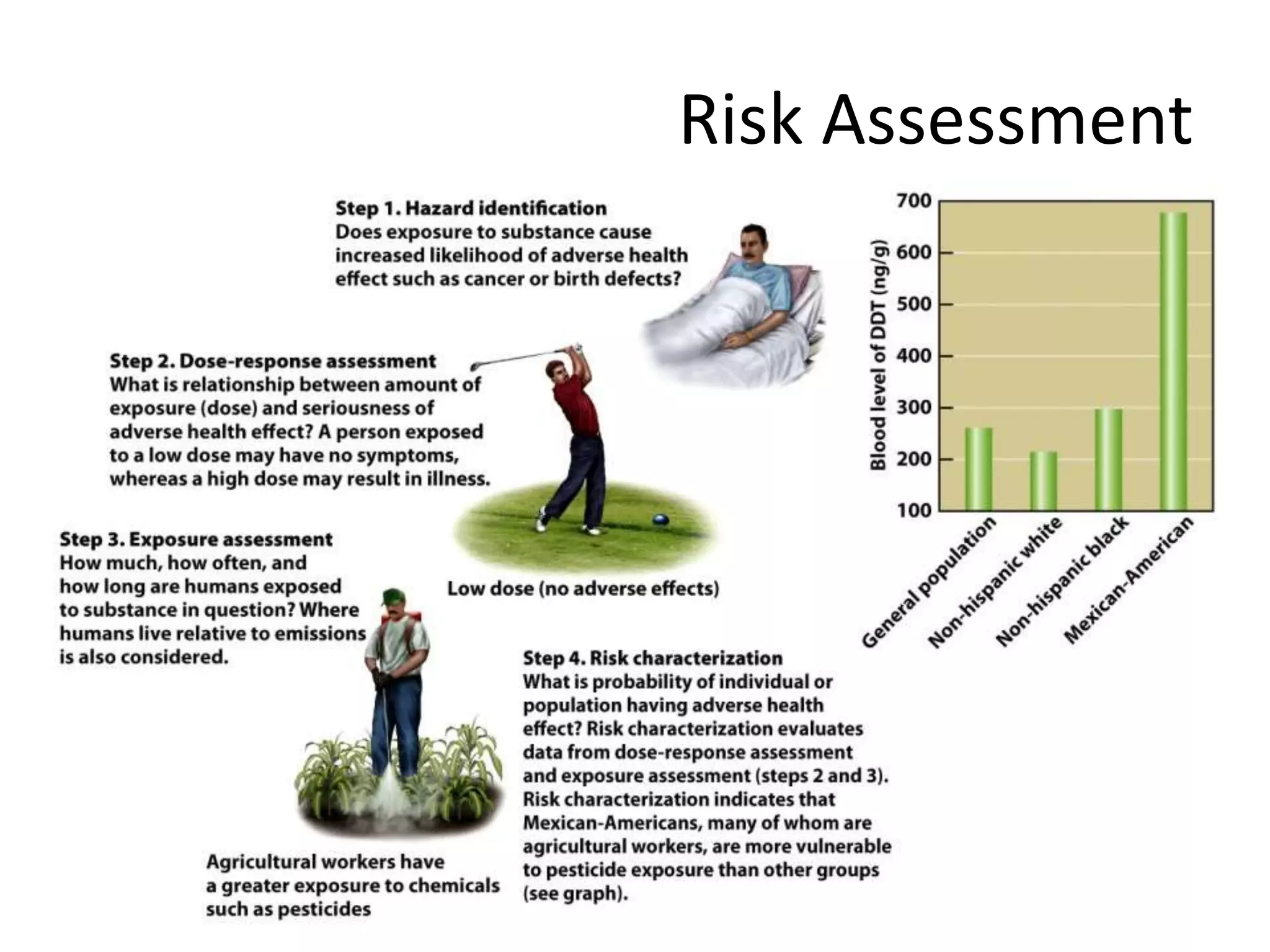 Risk Assessment
 