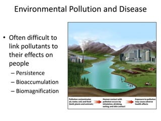 Environmental Pollution and Disease
• Often difficult to
link pollutants to
their effects on
people
– Persistence
– Bioaccumulation
– Biomagnification
 