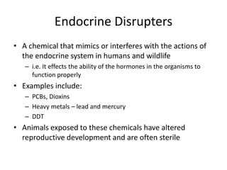 Endocrine Disrupters
• A chemical that mimics or interferes with the actions of
the endocrine system in humans and wildlife
– i.e. It effects the ability of the hormones in the organisms to
function properly
• Examples include:
– PCBs, Dioxins
– Heavy metals – lead and mercury
– DDT
• Animals exposed to these chemicals have altered
reproductive development and are often sterile
 