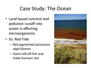 Case Study: The Ocean
• Land based nutrient and
pollution runoff into
ocean is affecting
microorganisms
• Ex: Red Tide
– Red pigmented poisonous
algal blooms
– Toxins kill off fish and
make humans sick
 