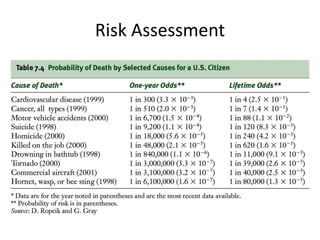Risk Assessment
 
