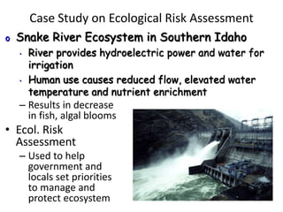 Case Study on Ecological Risk Assessment
– Results in decrease
in fish, algal blooms
• Ecol. Risk
Assessment
– Used to help
government and
locals set priorities
to manage and
protect ecosystem
o Snake River Ecosystem in Southern Idaho
• River provides hydroelectric power and water for
irrigation
• Human use causes reduced flow, elevated water
temperature and nutrient enrichment
 