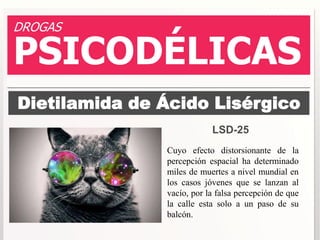 DROGAS 
PSICODÉLICAS 
Dietilamida de Ácido Lisérgico 
LSD-25 
Cuyo efecto distorsionante de la 
percepción espacial ha determinado 
miles de muertes a nivel mundial en 
los casos jóvenes que se lanzan al 
vacío, por la falsa percepción de que 
la calle esta solo a un paso de su 
balcón. 
 