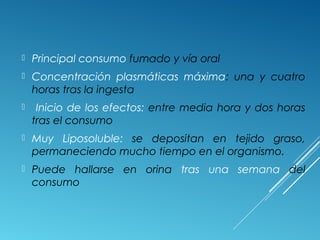  Principal consumo fumado y vía oral
 Concentración plasmáticas máxima: una y cuatro
horas tras la ingesta
 Inicio de los efectos: entre media hora y dos horas
tras el consumo
 Muy Liposoluble: se depositan en tejido graso,
permaneciendo mucho tiempo en el organismo.
 Puede hallarse en orina tras una semana del
consumo
 