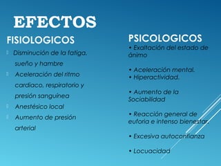 EFECTOS
FISIOLOGICOS
 Disminución de la fatiga,
sueño y hambre
 Aceleración del ritmo
cardiaco, respiratorio y
presión sanguínea
 Anestésico local
 Aumento de presión
arterial
PSICOLOGICOS
• Exaltación del estado de
ánimo
• Aceleración mental.
• Hiperactividad.
• Aumento de la
Sociabilidad
• Reacción general de
euforia e intenso bienestar.
• Excesiva autoconfianza
• Locuacidad
 