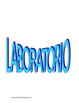 AUTOR: BRENDA ESPINOZA BLACIO
 