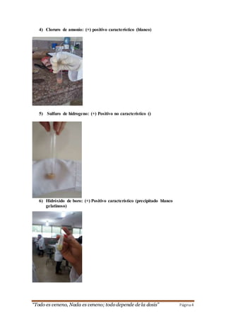 “Todo es veneno, Nada es veneno; todo depende de la dosis” Página4
4) Cloruro de amonio: (+) positivo característico (blanco)
5) Sulfuro de hidrogeno: (+) Positivo no característico ()
6) Hidróxido de boro: (+) Positivo característico (precipitado blanco
gelatinoso)
 