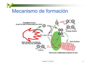 Mecanismo de formación




           Tema 11 F. G.C-F   61
 