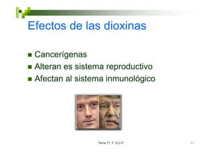 Efectos de las dioxinas

 Cancerígenas
 Alteran es sistema reproductivo
 Afectan al sistema inmunológico




                 Tema 11 F. G.C-F   65
 