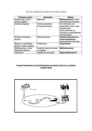 TÓXICOS NATURALES EN ALIMENTOS DE ORIGEN ANIMAL 
TRANSFORMACION E INCORPORACION DE MERCURIO EN LA CADENA 
ALIMENTARIA 
 