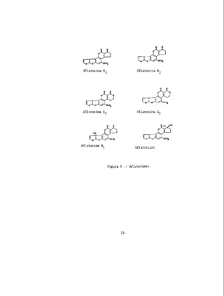 Toxicos en los alimentos....