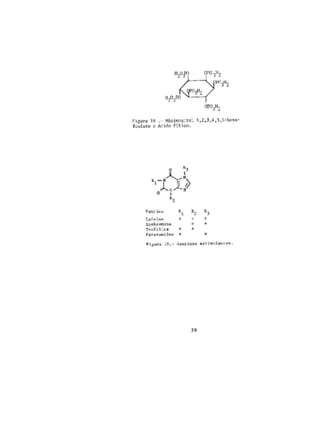 Toxicos en los alimentos....